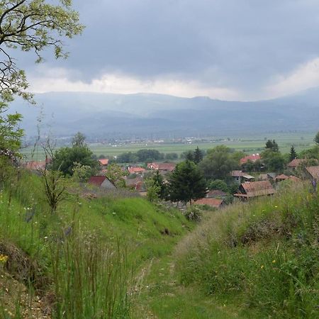 Birdsong Cottage - Peaceful Country Retreat Păuleni-Ciuc Eksteriør billede