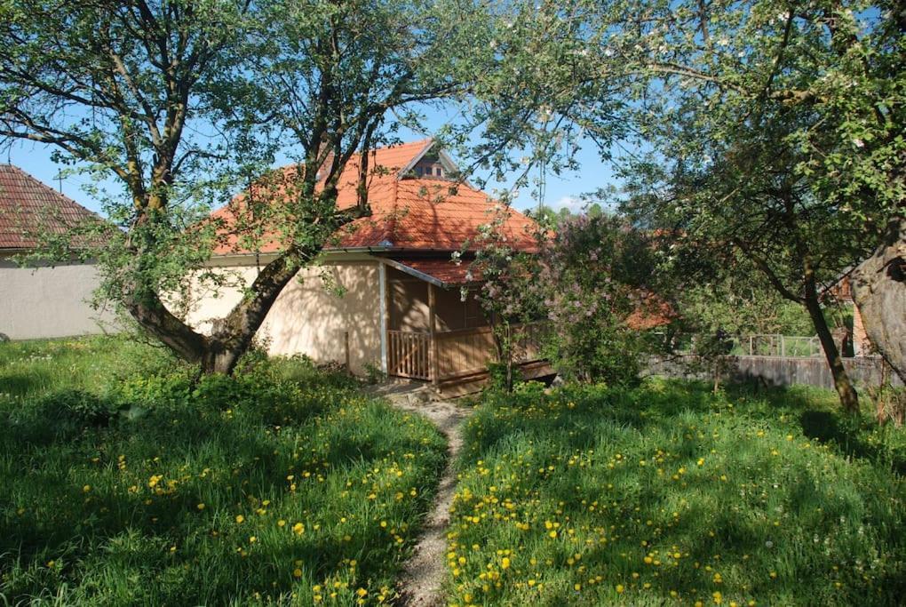 Birdsong Cottage - Peaceful Country Retreat Păuleni-Ciuc Eksteriør billede